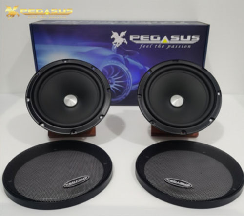 Pegasus Audio System